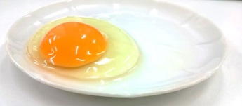 どっちも新鮮でおいしそう描かれた「生卵」がリアルすぎてお腹が空いてくるレベル - ライブドアニュース