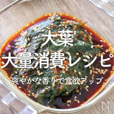 コレ1品でご飯が進む！「大葉」のスピードレシピ6選〜長持ちする保存方法も要注目 - E・レシピ 1 1ページ