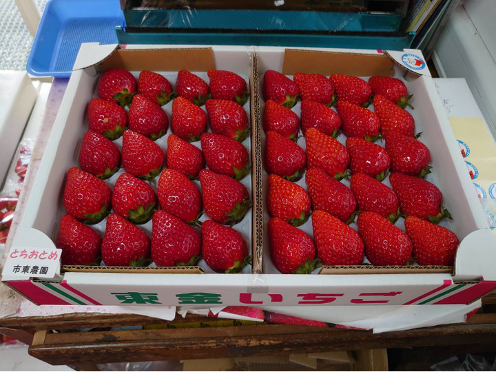 採れたていちごの直売所×アウトドア空間！ 美味しくてオシャレないちご農園♪ いちごの木△ 島根県安来市 出雲テラスエポラコラムサイト