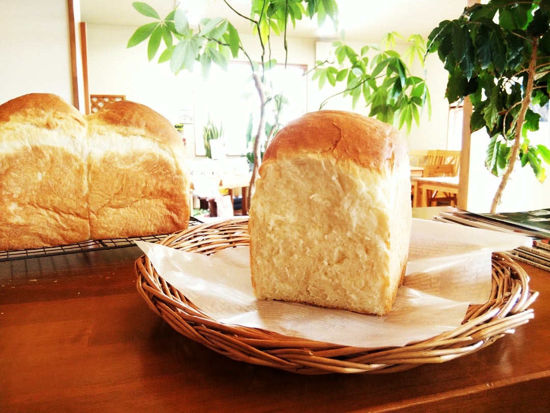 ホームベーカリー初心者が挑戦！ 「パンくらぶ BB-ST10」で薄力粉から作る“初めてのおうちパン” - 価格.comマガジン