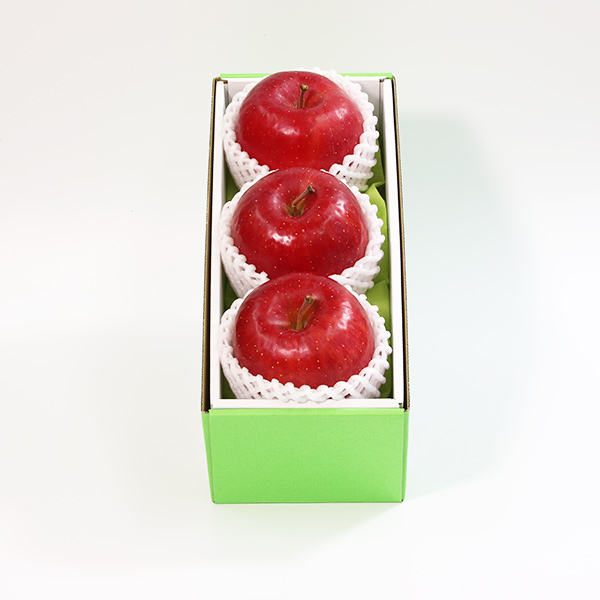 秋から冬の季節、知っておくと楽しくなる赤い実のいろいろ