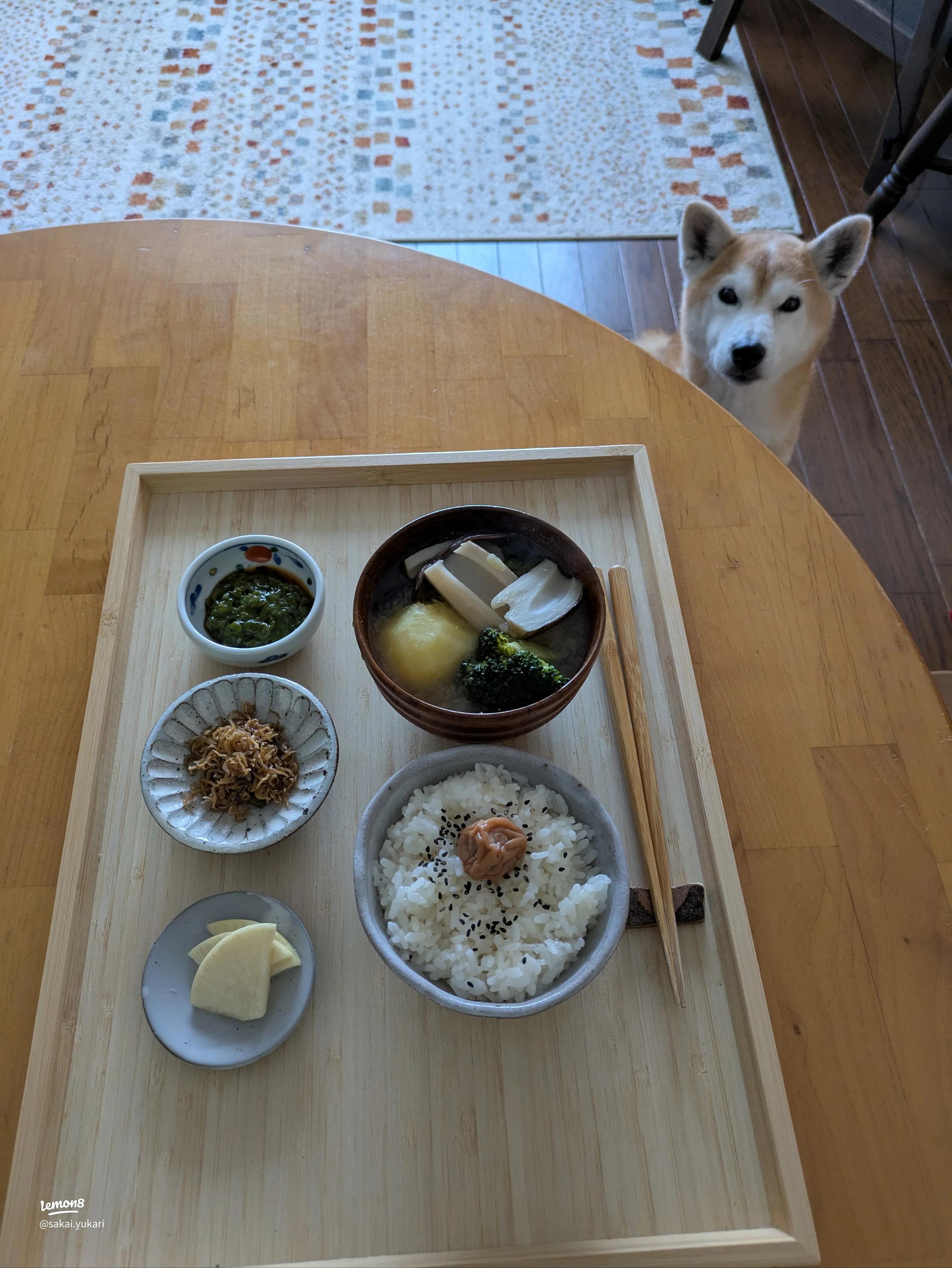 いつものおみそ汁 香り山椒 1セット 1個×3アサヒグループ食品 - アスクル