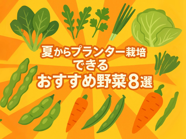 農産物紹介 JAグループ岡山 笑味 えみ ちゃん天気予報RSK山陽放送