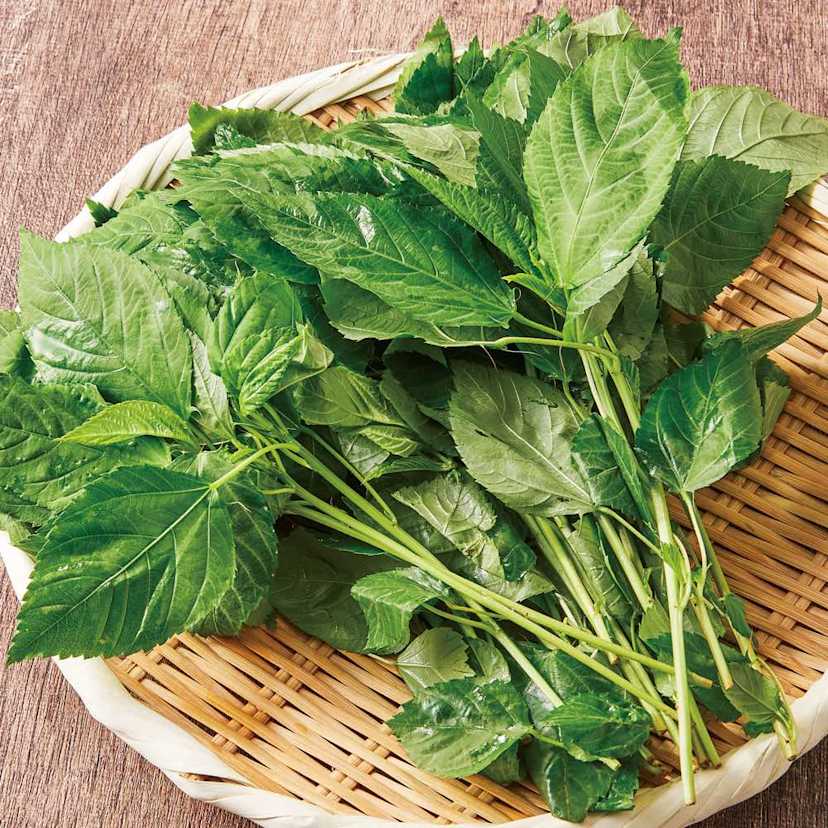 無印良品 大袋 食べるスープ オクラ入りねばねば野菜のスープ 10食入 良品計画 - アスクル