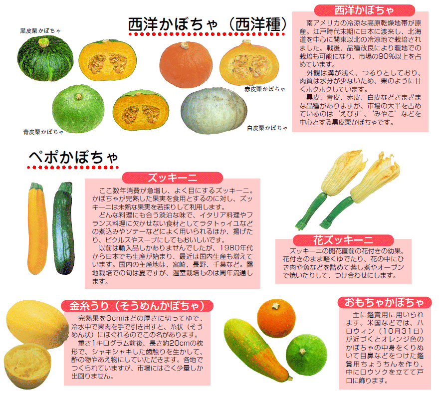 かぼちゃの品種・種類一覧！おすすめの品種をやレシピをご紹介お菓子・パン材料・ラッピングの通販 cotta＊コッタ