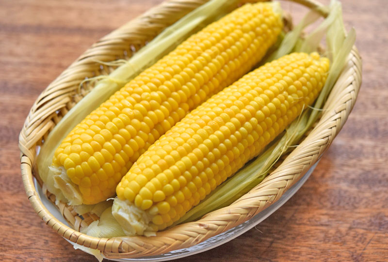 農家が教えるトウモロコシ スイートコーン の育て方。栽培に適した土づくりから害虫対策まで詳しく解説マイナビ農業