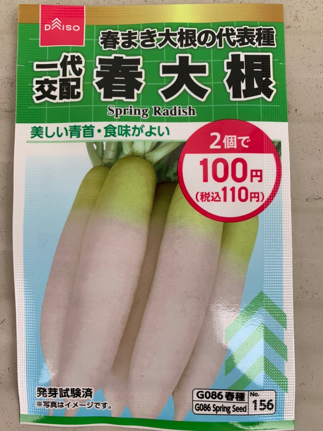 家庭菜園 ダイソーの春大根を種からペットボトル栽培 - 普通が好きなんです