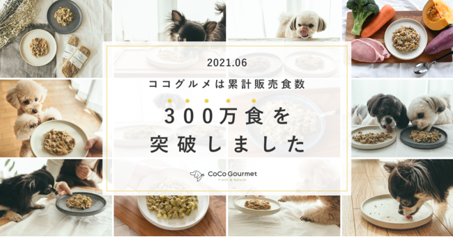 犬猫生活、わんちゃん用手作りごはん、素材感たっぷりのパッケージにリニューアルして新登場 6月上旬～犬猫生活株式会社のプレスリリース