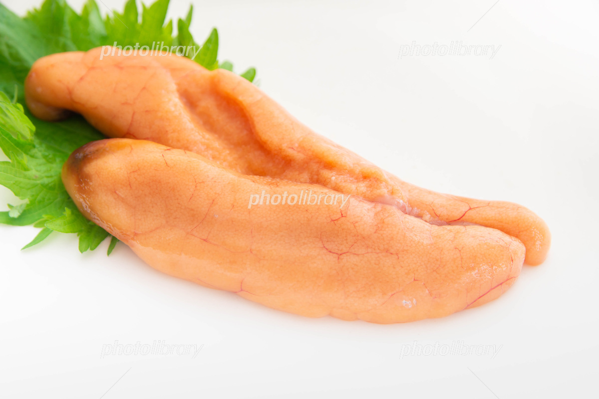 たらこ スケトウダラの卵- Sailors for the Sea