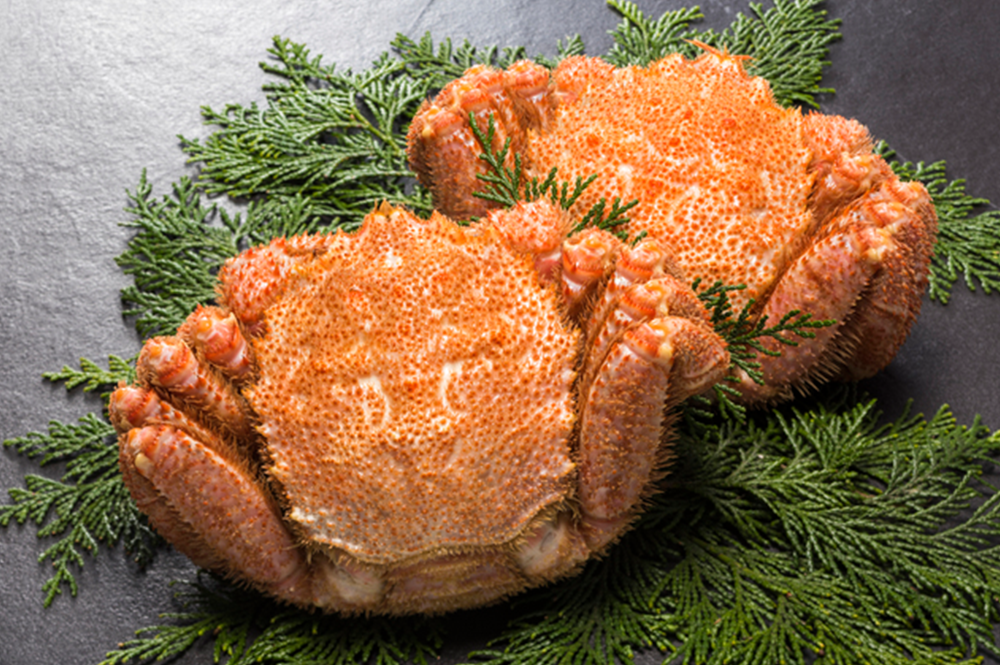 寺泊魚の市場通り 魚のアメ横-新潟県 の詳細情報ことりっぷ