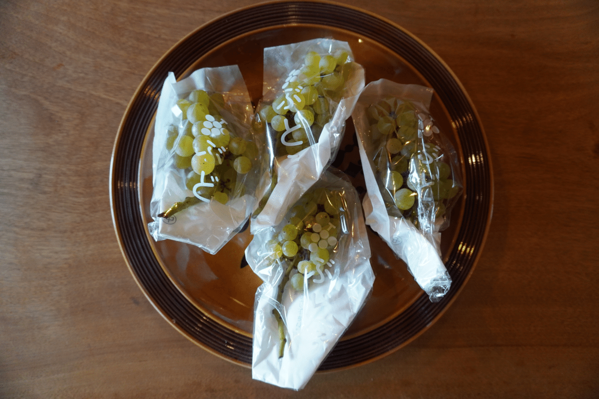 秋の恵みに感謝④ 巨峰で作る干しぶどうもへちゃんの工作の時間『大人のできるかな？』