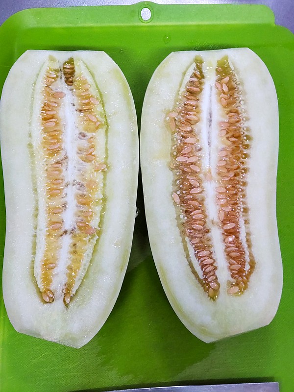 風味豊かな味わいの白瓜の奈良漬をつくりませんか？ 酒粕が出回る梅雨の前後の時期がオススメの作り時です！師岡青果株式会社