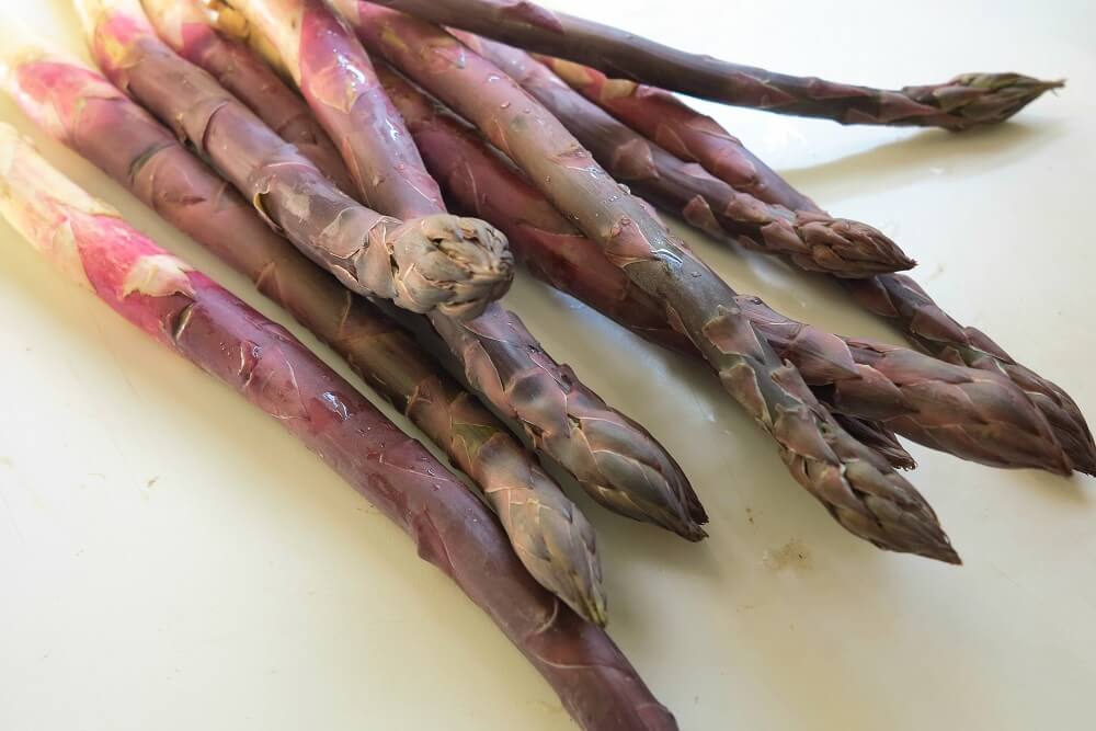 Amazonタマネギは赤、黄、白やピンクボックスミックス 40Bulbs 庭の野菜 赤 を設定します栽培キット オンライン通販