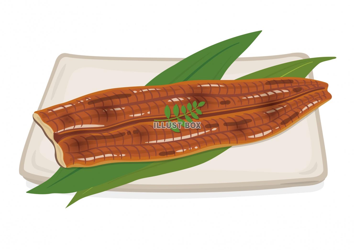 商用フリー無料イラスト_7月_土用_丑の日_うなぎのイラスト_鰻_ushinohi33 - 商用OK!フリー素材集「ナイスなイラスト」