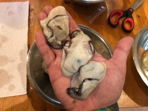 爆食美人アナが作る 『カキの豪快３変化焼き』 ＜材料＞ ・殻付き冷凍牡蠣 1.5㎏ ・バジルペースト 60ｇ ・マーブルシュレッドチーズ 40ｇ・パン粉 40ｇ ・アンチョビフィレ 20ｇ ・おろしにんにく 20ｇ ・サルサソース 35ｇ ・ベーコンビッツ 35ｇ ＜作り方＞ ① グリル