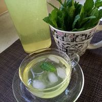 ミントの使い方百科。料理、飲み物、料理以外の楽しみ方をずらり14種LOVEGREEN ラブグリーン