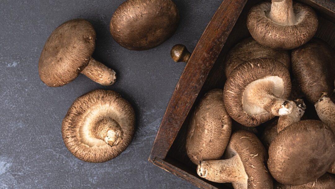 しいたけ、黒くならない方法とは？まこズボラのためのゆる腸活が投稿したフォトブックLemon8