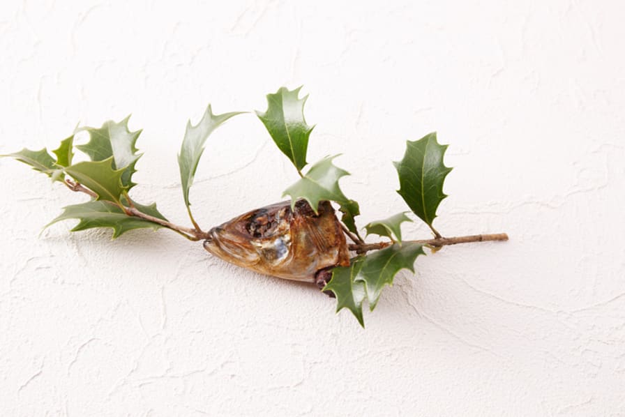 節分は鰯を食べて「柊イワシ」「柊めざし」で、美味しい邪気払い 豊洲市場ドットコム株式会社 食文化のプレスリリース