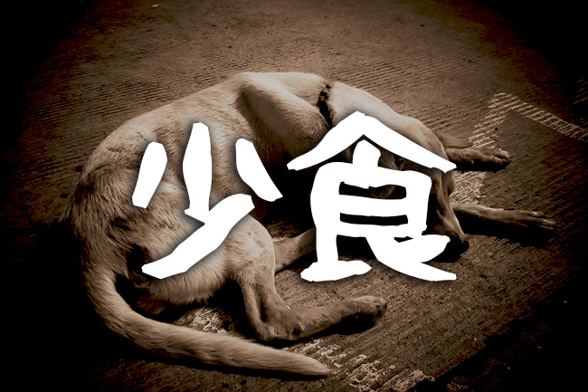 少食ハラスメント”に苦しんでいる - 俺だってヒーローになりてえよ