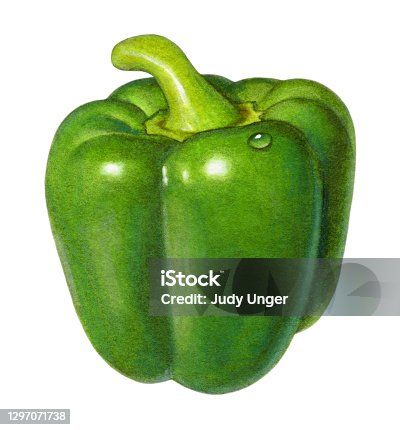 ピーマンのイラスト02フリー素材 - GreenStock40