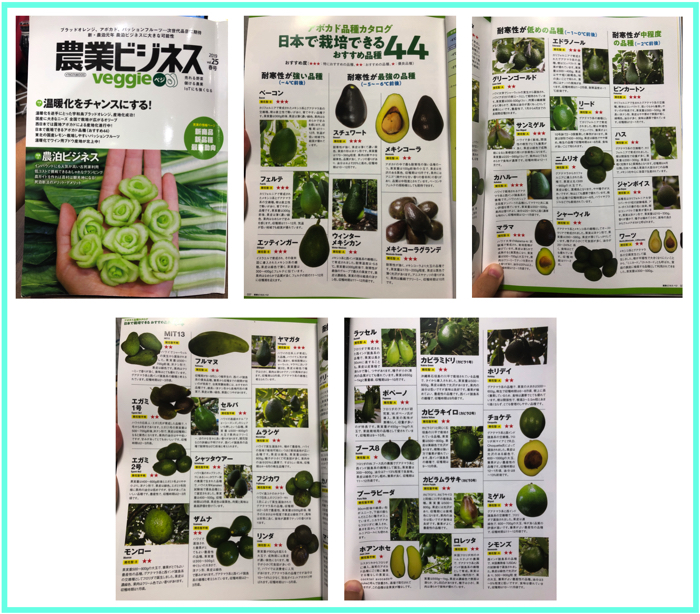 国産アボカド栽培入門・品種が分かるムック本が発売！アボカド料理研究家 緑川 鮎香みどりかわ あゆか＊＊Happy AvocadoLife＊＊