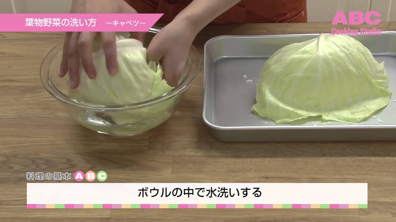 キャベツは洗ってください！ おいしく食べるための正しい洗い方とポイントを解説！ヨムーノ