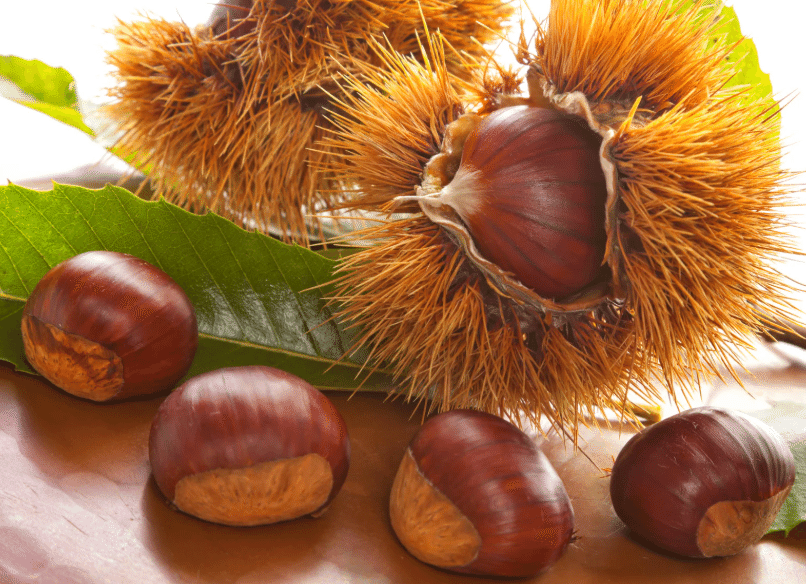 基本からアレンジまで！思わずつくりたくなる「生栗 甘くない」のレシピ集クックパッド