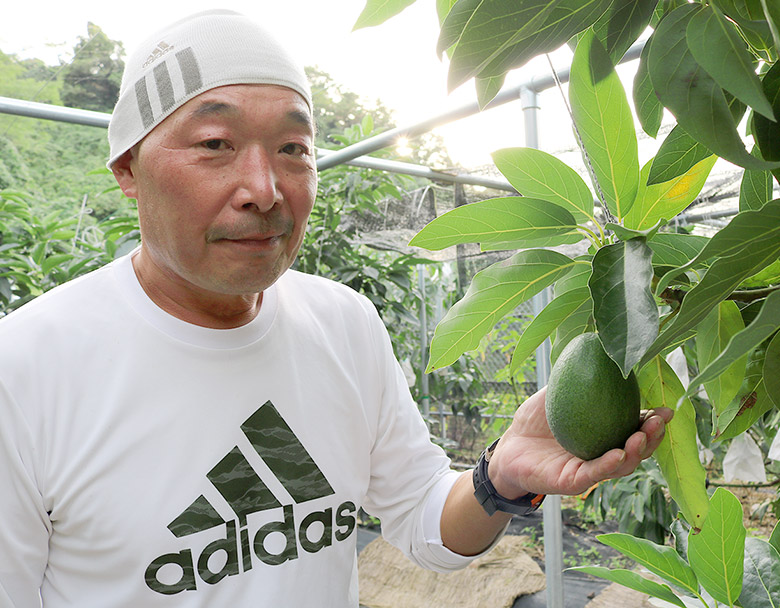 国産アボカド栽培入門の通販 by ラズロ's shopラクマ