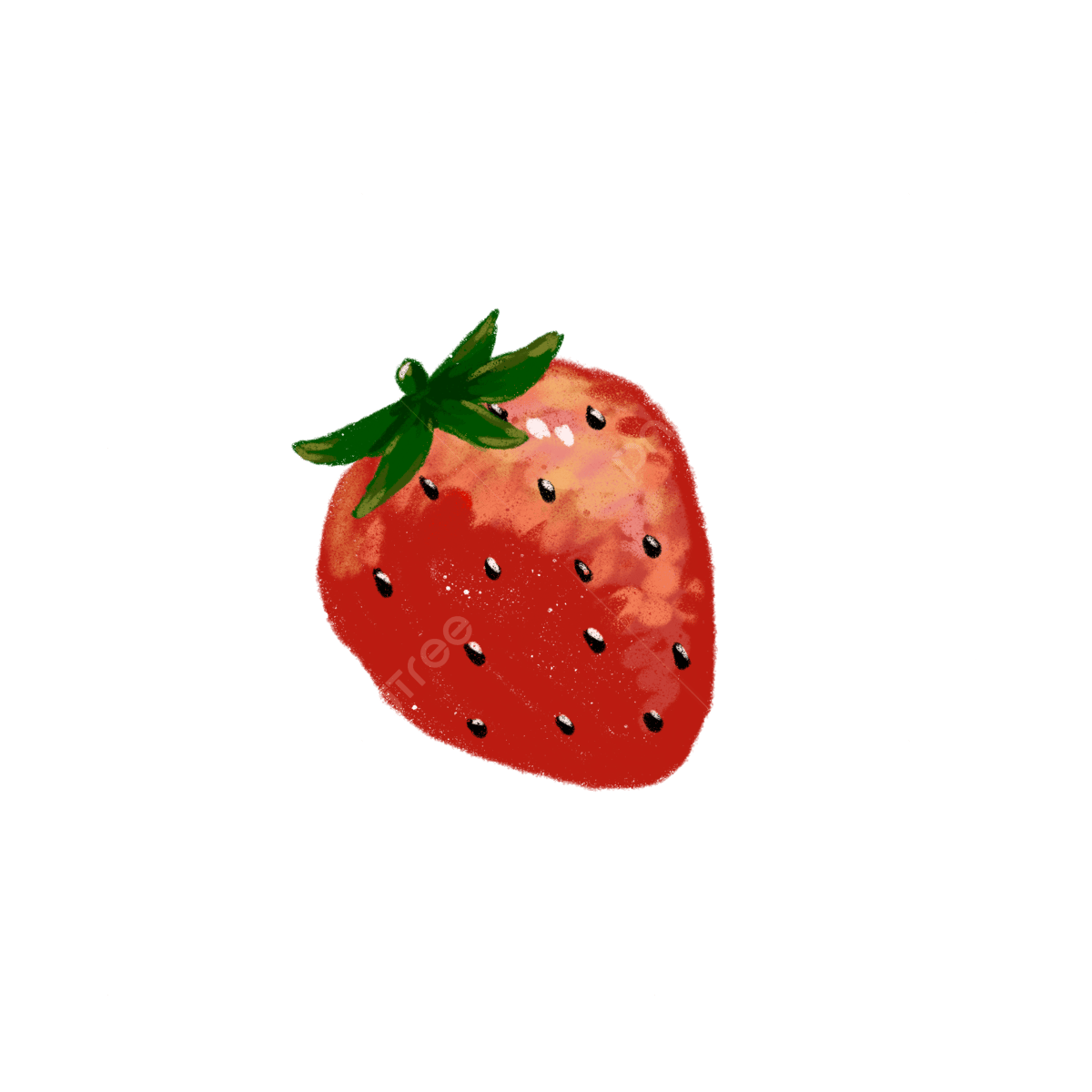 苺のフレーム.赤くてかわいいイチゴのイラストフレーム素材です。チェック柄もポインフレーム 飾り枠 Decome