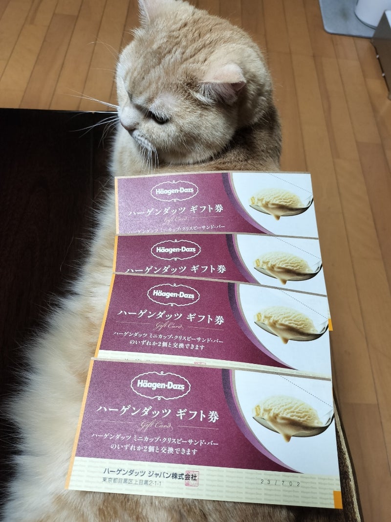 ハーゲンダッツギフト券が使えるコンビニの一覧・引換の流れをわかりやすく解説 - 金券なび