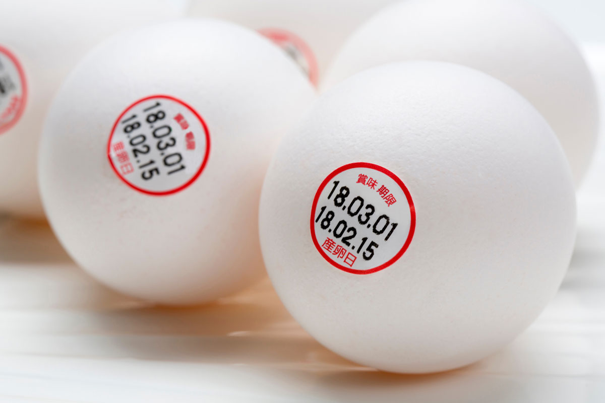 賞味期限切れの牛乳の活用法2025 年のリアルなLemon8ユーザー体験