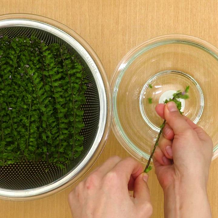 シソの実味噌漬 赤味噌、白味噌などの信州味噌、信州お漬物などの通信販売丸井伊藤商店