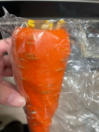 にんじんを再生栽培! プロから学ぶ再生野菜 リボベジ生活のススメ vol.5東京ガス ウチコト