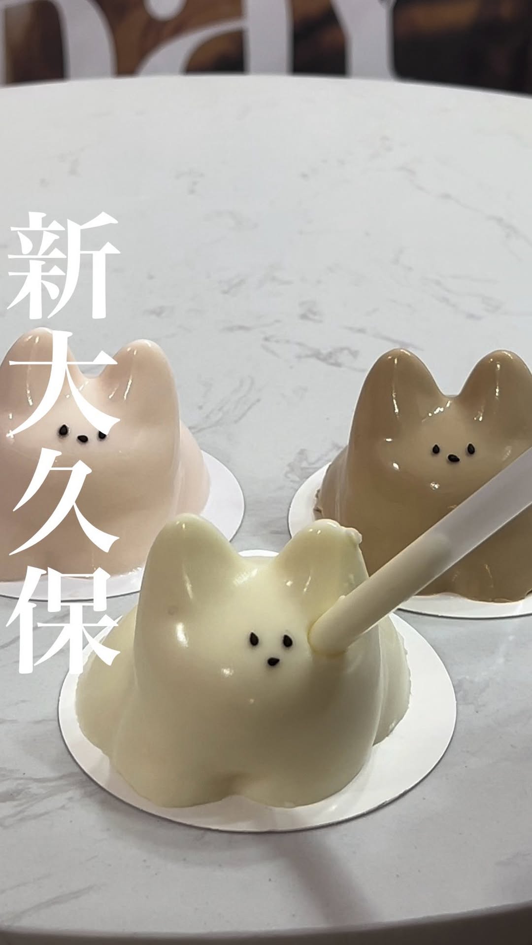 岡崎市井田南町にちゃんぽん専門店がオープン！ 「三河ちゃんぽん日本晴れ」の三河式ちゃんぽんとは