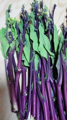食材の色をファッションのように楽しむ野菜レシピ集 紫＜PURPLE＞ZOOM LIFE