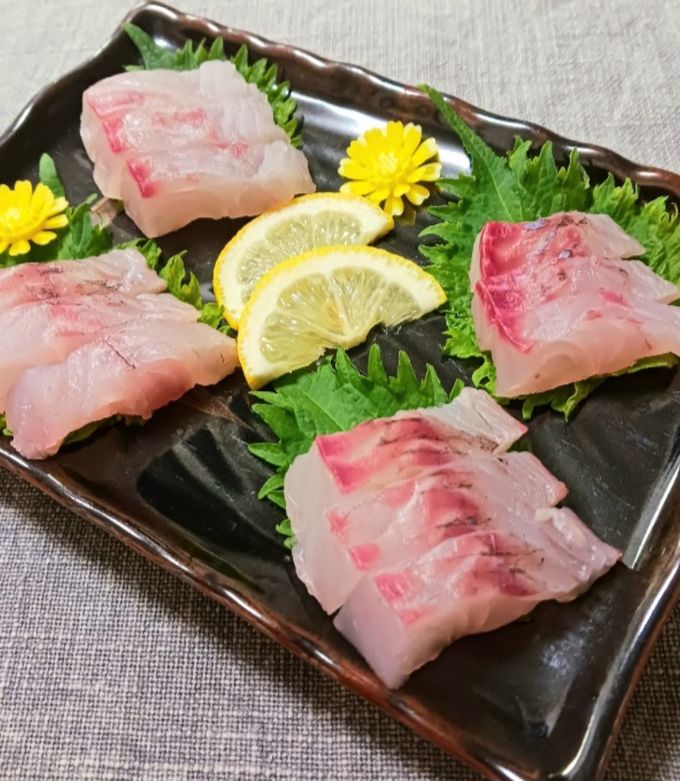 目仁奈 メジナのさばき方 姿造り用 その３柵取り- 魚料理と簡単レシピ