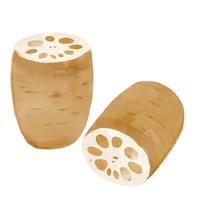 れんこんの保存方法 おいしく長持ち！ 常温・冷蔵・冷凍保存テク季節の食材のHOW TOアマノフーズ公式ブランドサイト