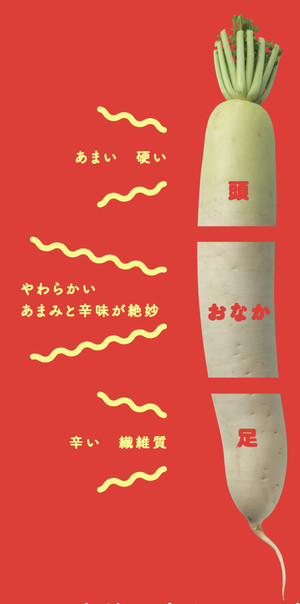 大根の部位による辛さの違いと使い方葉から根本まで解説