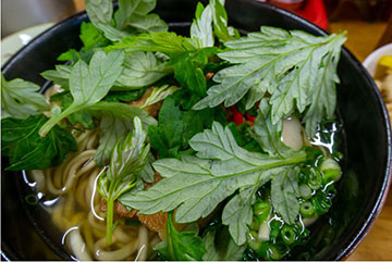 フーチバーくゎっちーおきなわ！沖縄食材情報サイト