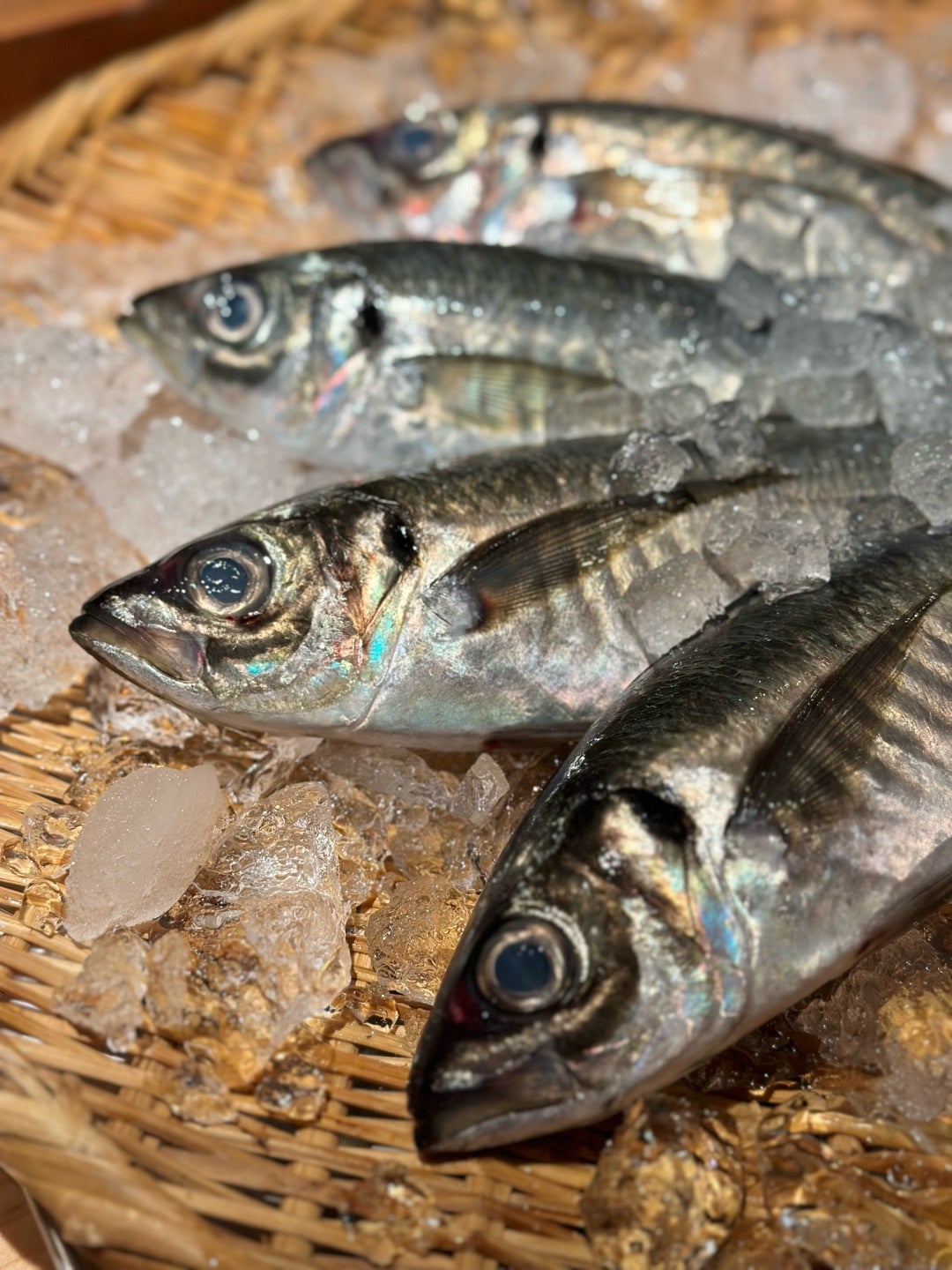 しめ鯖 〆さば のレシピ 作り方：白ごはん.com