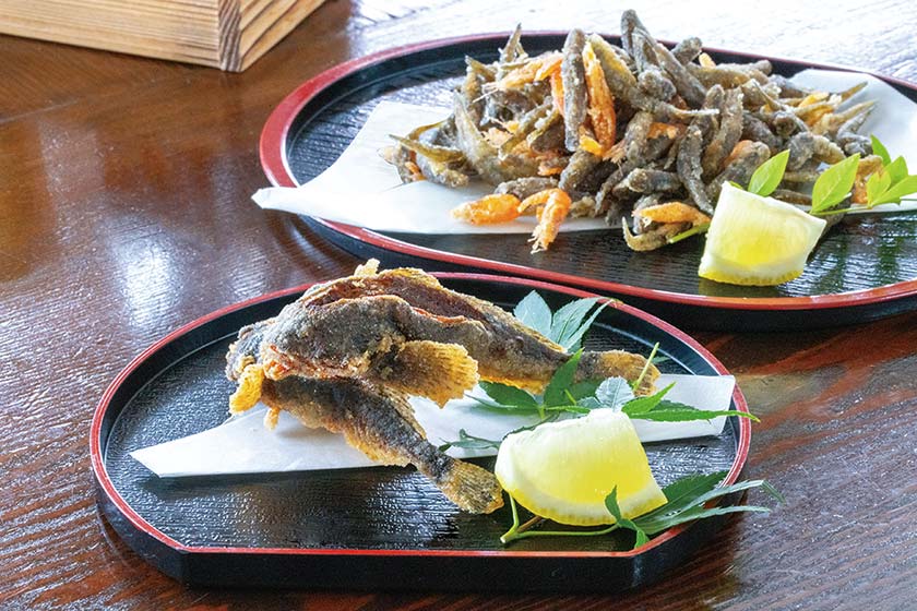 あられがこ出汁醤油セット 醤油 セット あられがこ 出汁 だししょうゆ 高級魚 特選醤油 疲労回復 お造り 刺身 炒め物 魚A-057001福井県福井市セゾンのふるさと納税
