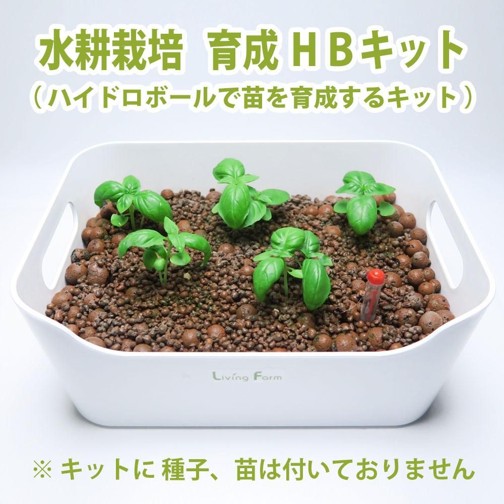 ミントの育て方清涼感のあるミントを育てよう！注意点や栽培のコツ植物とあなたをつなぐPlantia