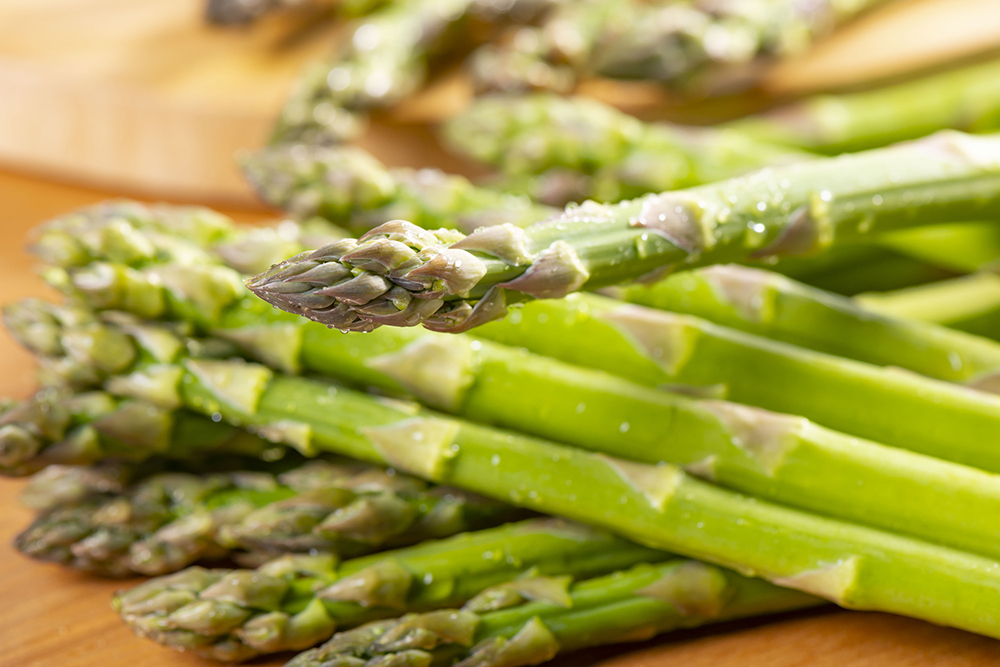 GREEN WEBVol.28 じっくり見てみよう④グリーンアスパラガス 編