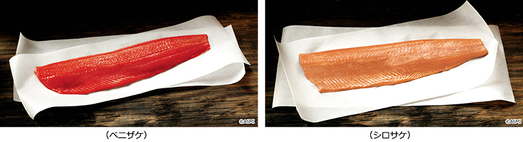 生 アトランティック 脂 サーモン とろ お刺身、お造り用 約１０人前 ブロック 皮付 骨なし 約1kg 良い部位のみ : きよきネットストアー -通販 - Yahoo!ショッピング