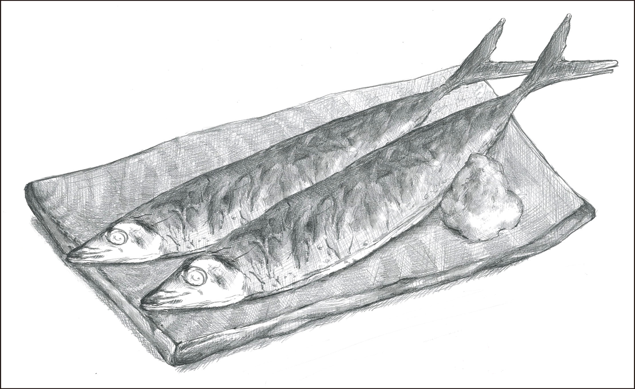 高齢者レク素材 秋刀魚 小デッサン風塗り絵介護レク広場～レク素材やレクネタ 企画書 の無料ダウンロード