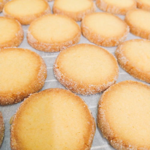 リプトン 塩バニラミルクティー」 8月19日 火 より全国 沖縄除く にて期間限定発売ニュースリリース森永乳業株式会社