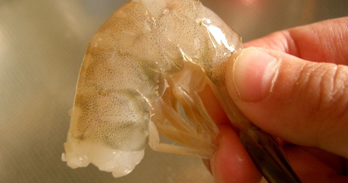 むきえびの背わたの取り方