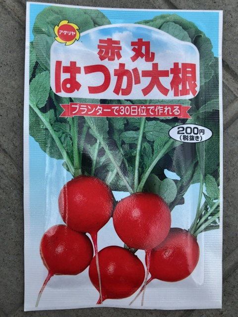 ペットボトルで二十日大根の成長変化と収穫まで！割れた原因は収穫遅れじゃない気がするよ牛乳パックと発泡スチロールで家庭菜園してみたら結構難しくて何回も失敗したけど結果から少しずつ学んでいくブログ - 楽天ブログ