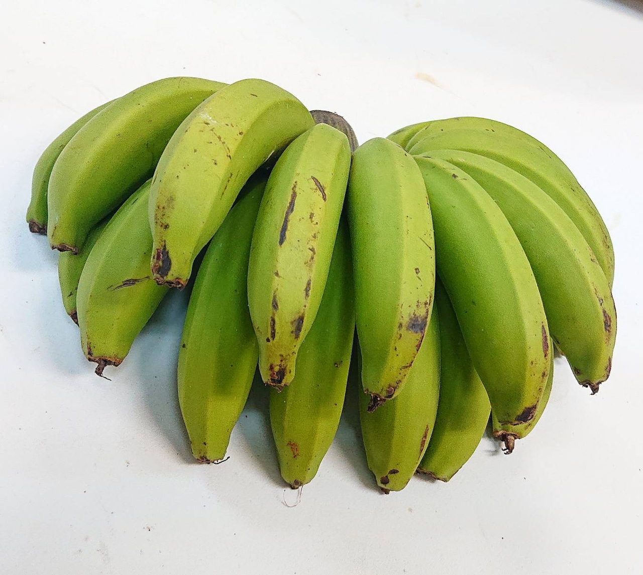 沖縄県産バナナ5キロブラジルバナナバナナマニアが販売する旨いバナナ 沖縄産