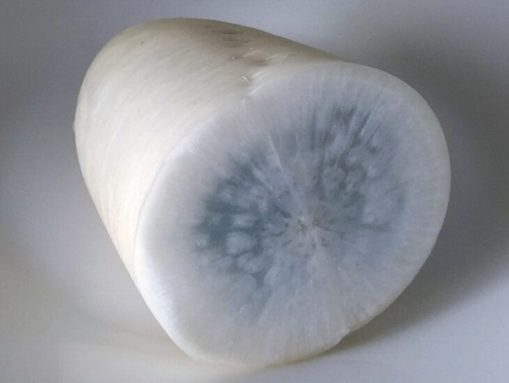 切ったら中が青い 青あざ症の大根 写真素材6328074- フォトライブラリ